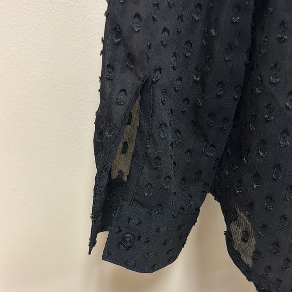 Banana Republic Black Sheer Blouse - Picture 6 of 8